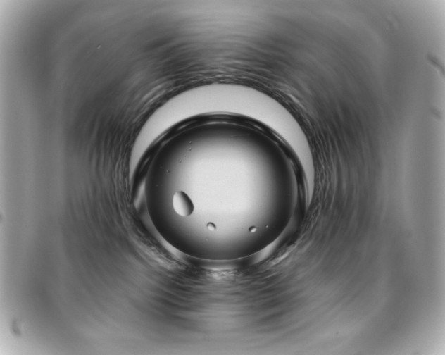 X0000096420092200801241326