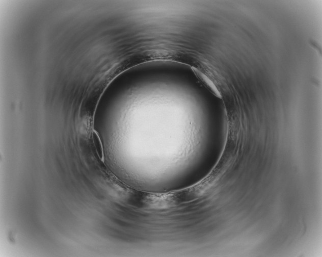 X0000096420093200801241326