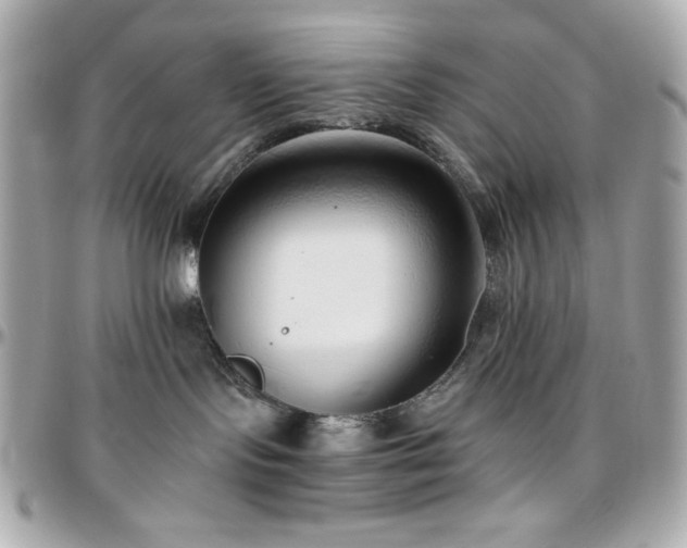 X0000096420095200801241326