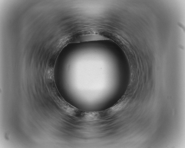 X0000096420096200801241326