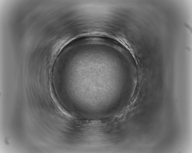 X0000096420097200801241325