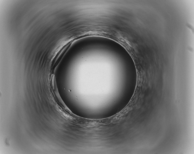 X0000096420098200801241325