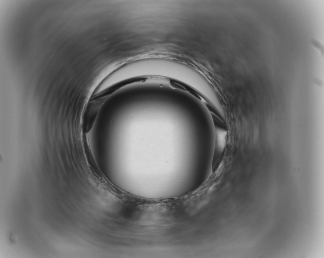 X0000096420100200801241325