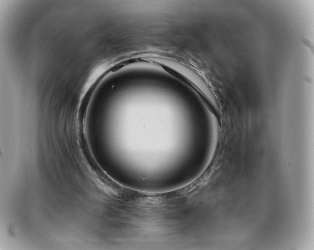 X0000096420102200801241325