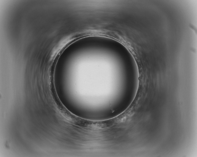 X0000096420103200801241325