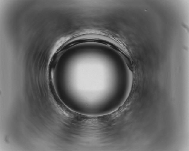X0000096420104200801241325