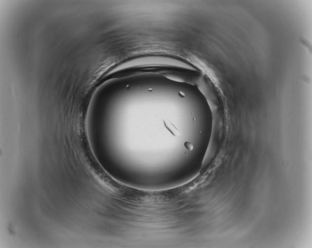 X0000096420105200801241325