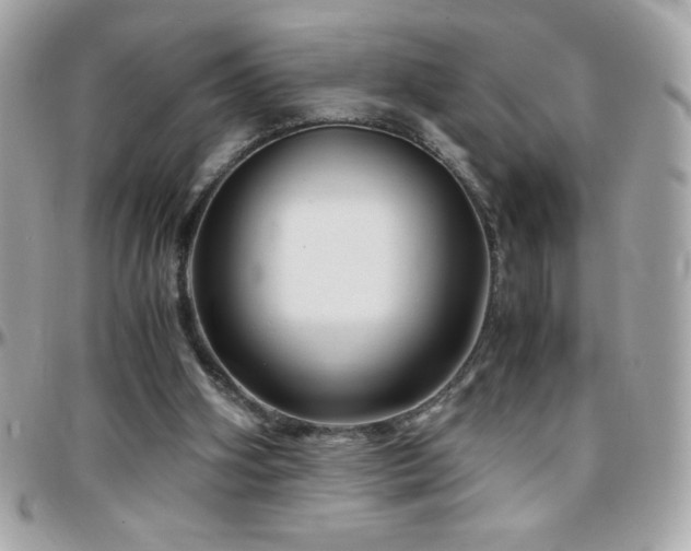 X0000096420106200801241325