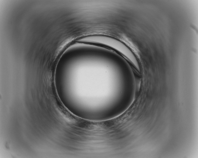 X0000096420107200801241325