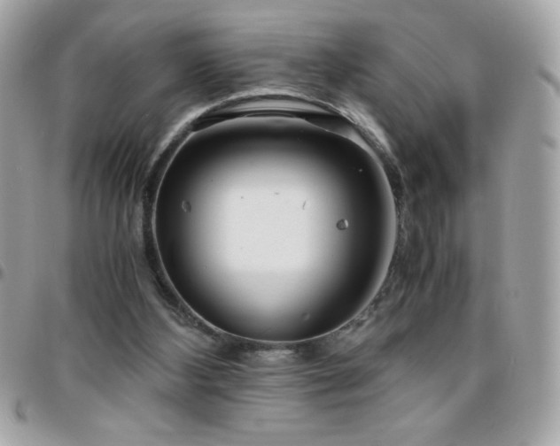 X0000096420108200801241325