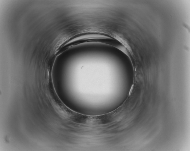 X0000096420109200801241325