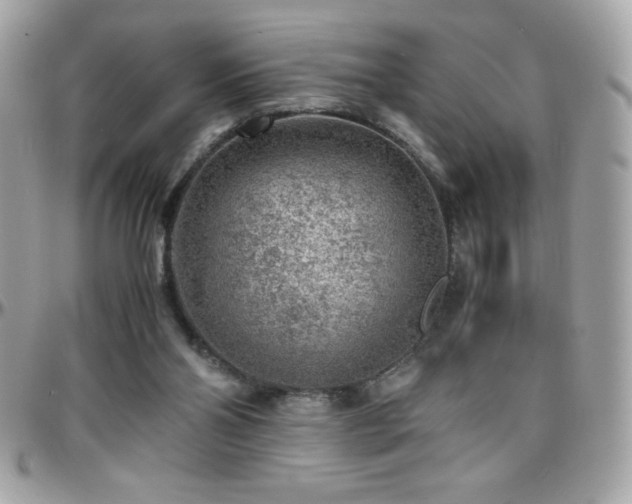 X0000096420110200801241325