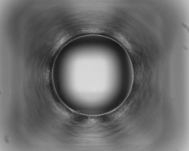 X0000096420111200801241325