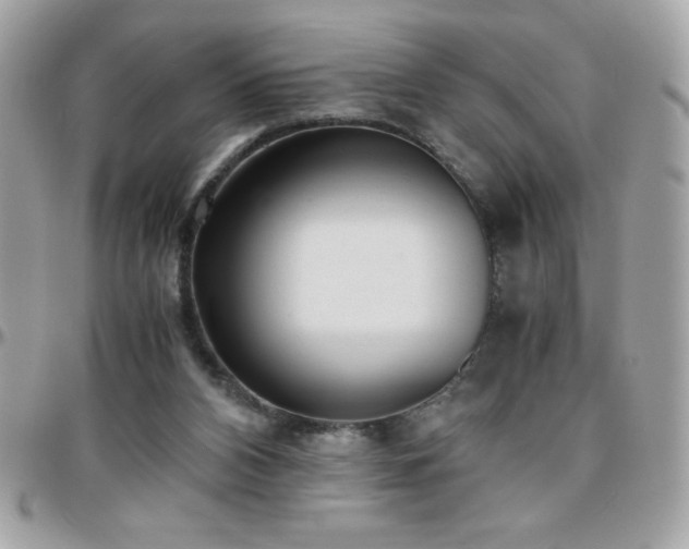 X0000096420112200801241325