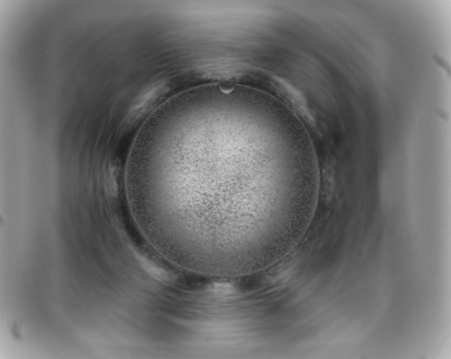 X0000096420114200801241325