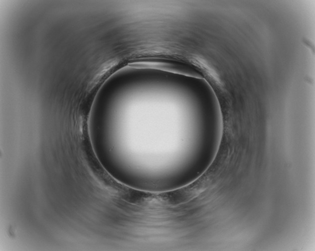 X0000096420115200801241325