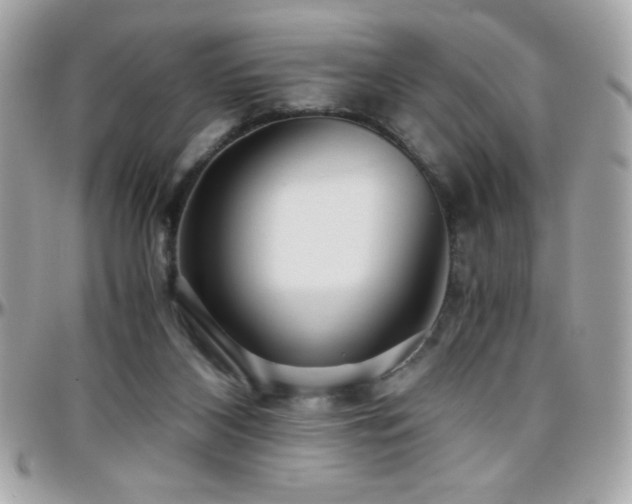 X0000096420116200801241325