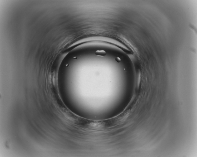 X0000096420117200801241325