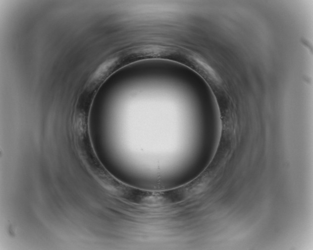 X0000096420119200801241325