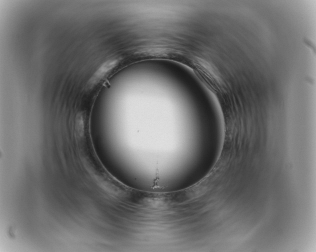 X0000096420120200801241325