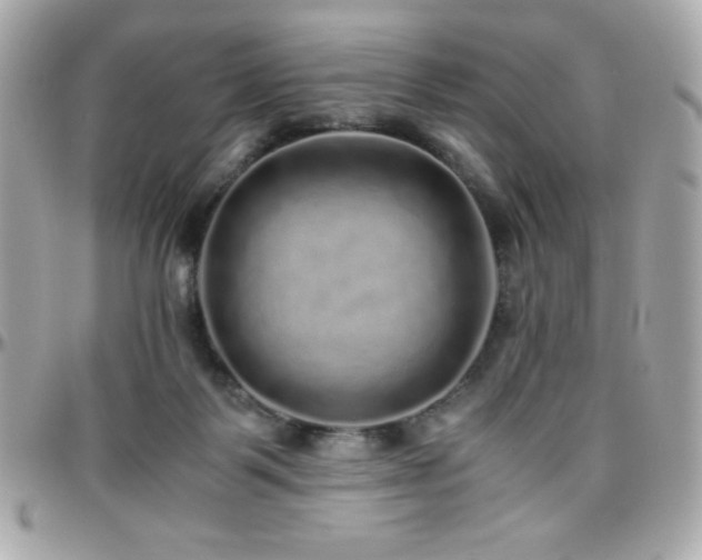 X0000096420123200801241325