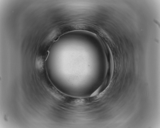 X0000096420124200801241325