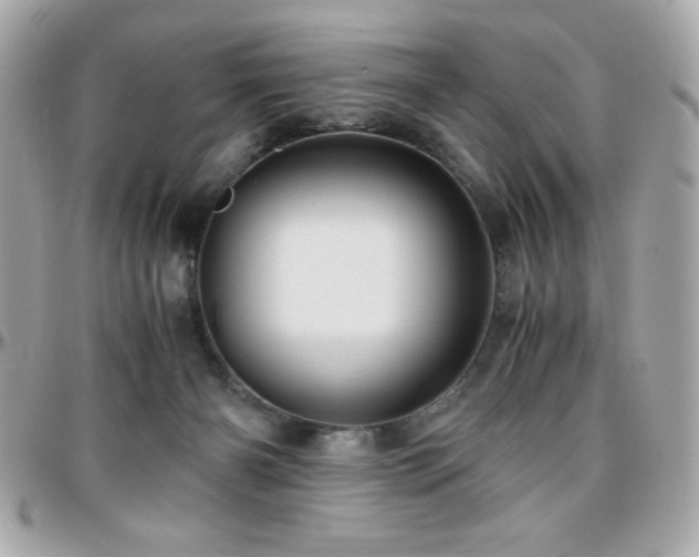 X0000096420126200801241325