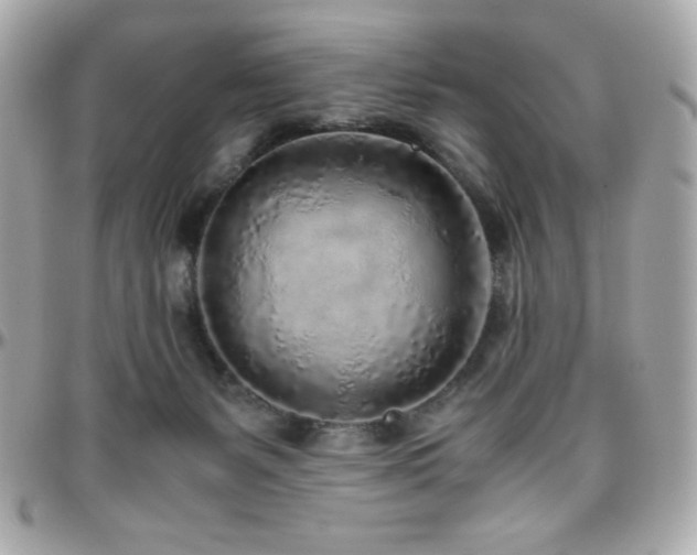 X0000096420127200801241325