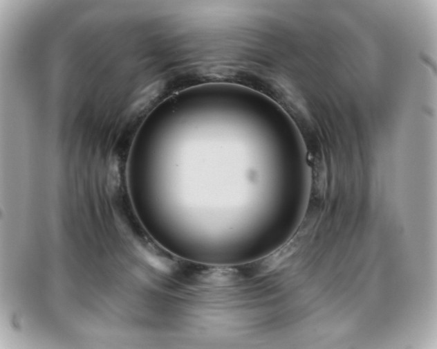 X0000096420128200801241325