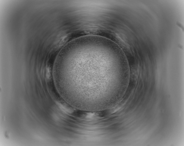 X0000096420130200801241325