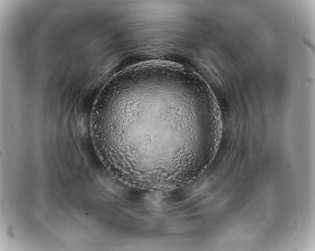 X0000096420131200801241325