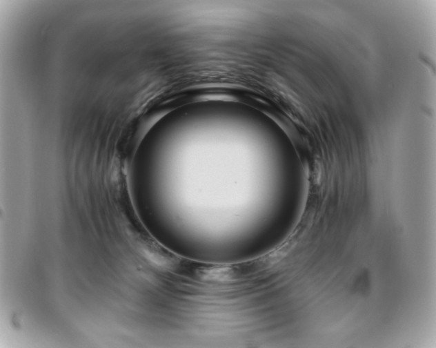 X0000096420132200801241325