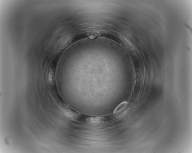 X0000096420134200801241325
