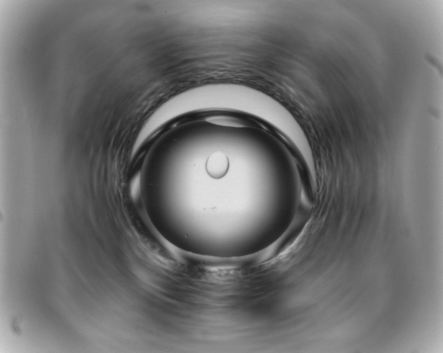 X0000096420136200801241325