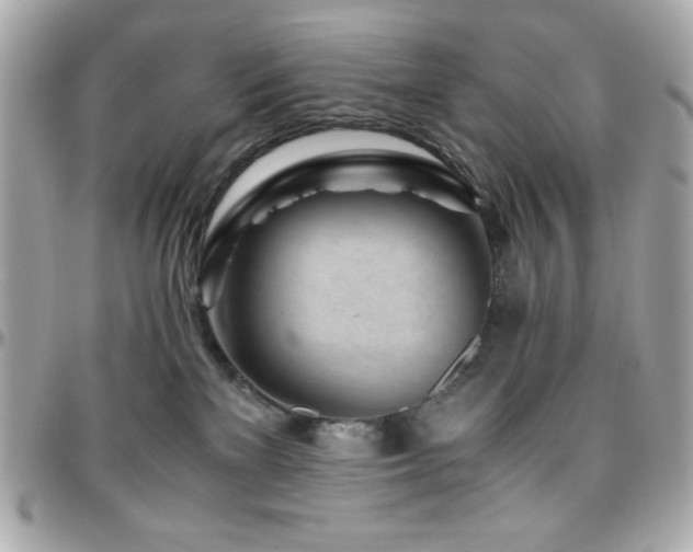 X0000096420137200801241325