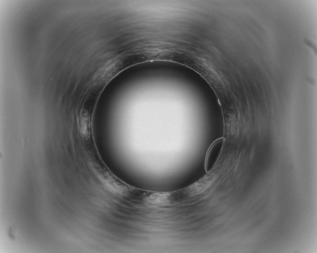 X0000096420138200801241325