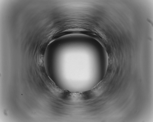 X0000096420141200801241325