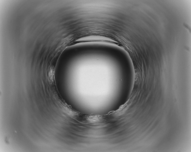 X0000096420142200801241325