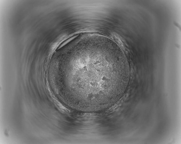X0000096420145200801241324