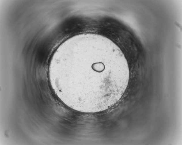 X0000096420146200801241324