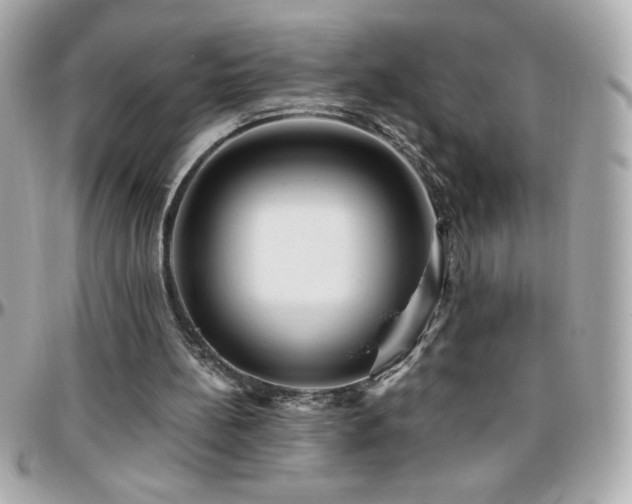 X0000096420148200801241324