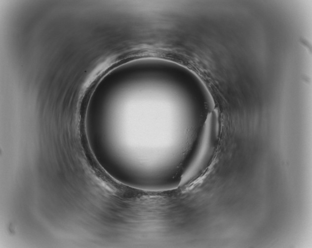 X0000096420150200801241324