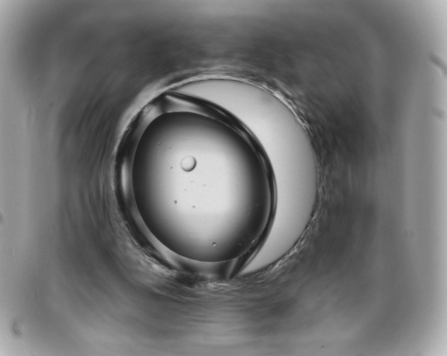 X0000096420152200801241324