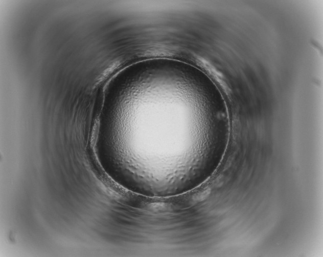 X0000096420153200801241324