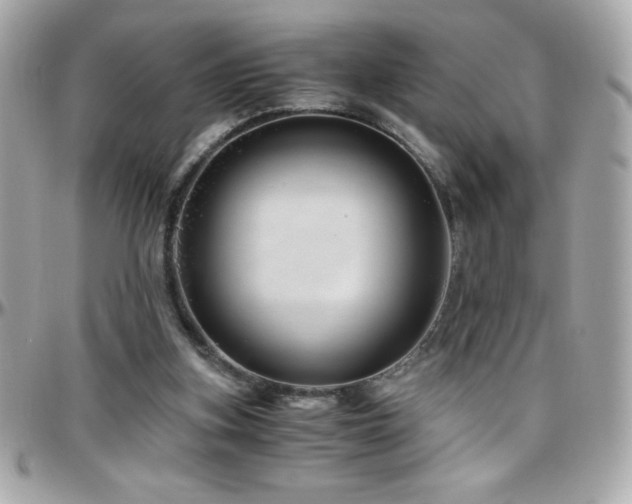 X0000096420155200801241324