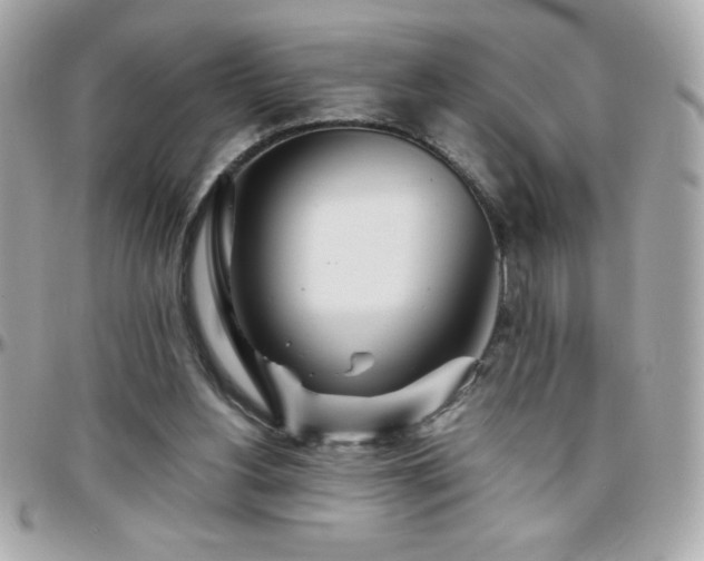 X0000096420156200801241324