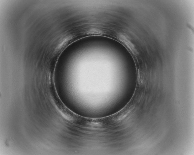 X0000096420157200801241324