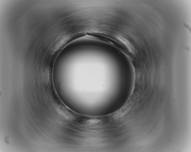 X0000096420158200801241324