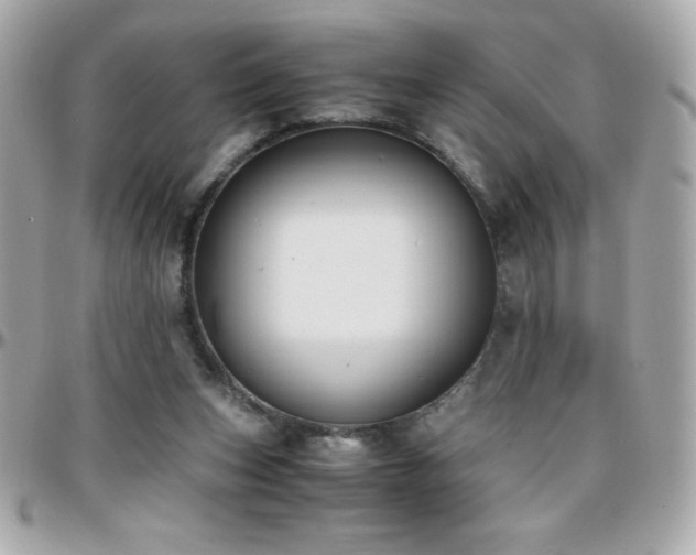 X0000096420159200801241324