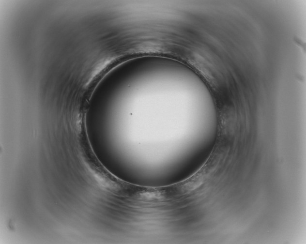 X0000096420160200801241324